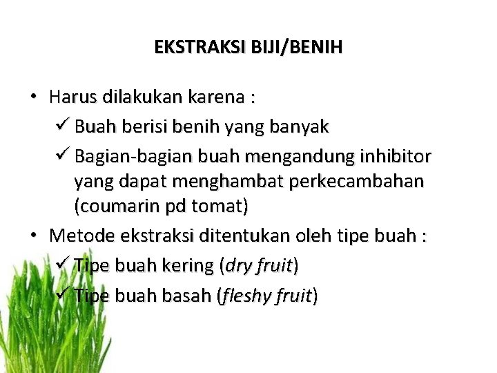 EKSTRAKSI BIJI/BENIH • Harus dilakukan karena : ü Buah berisi benih yang banyak ü