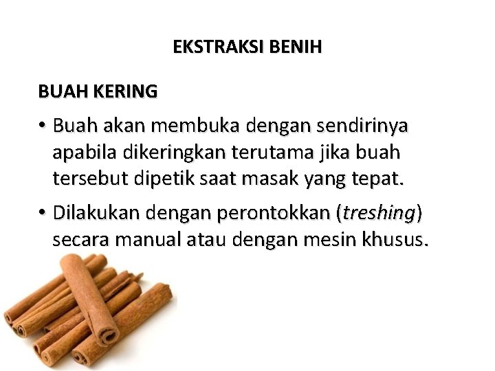 EKSTRAKSI BENIH BUAH KERING • Buah akan membuka dengan sendirinya apabila dikeringkan terutama jika