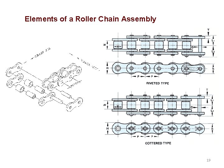 Elements of a Roller Chain Assembly 19 