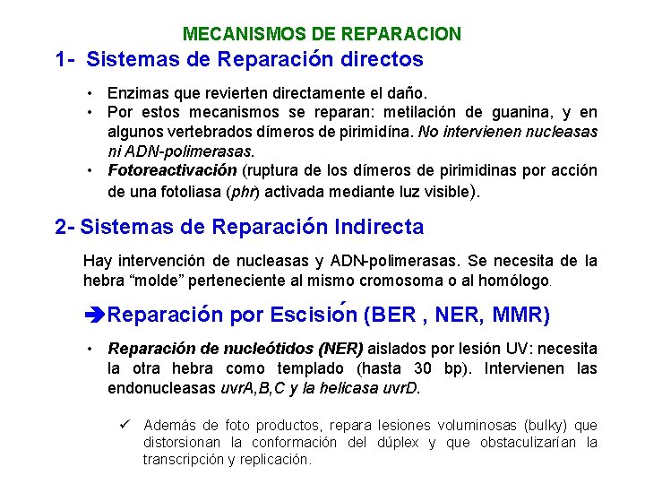 MECANISMOS DE REPARACION 1 - Sistemas de Reparación directos • Enzimas que revierten directamente