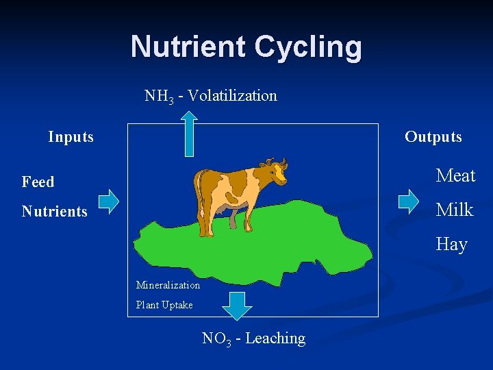 Nutrient Cycling NH 3 - Volatilization Inputs Outputs Feed Meat Nutrients Milk Hay Mineralization