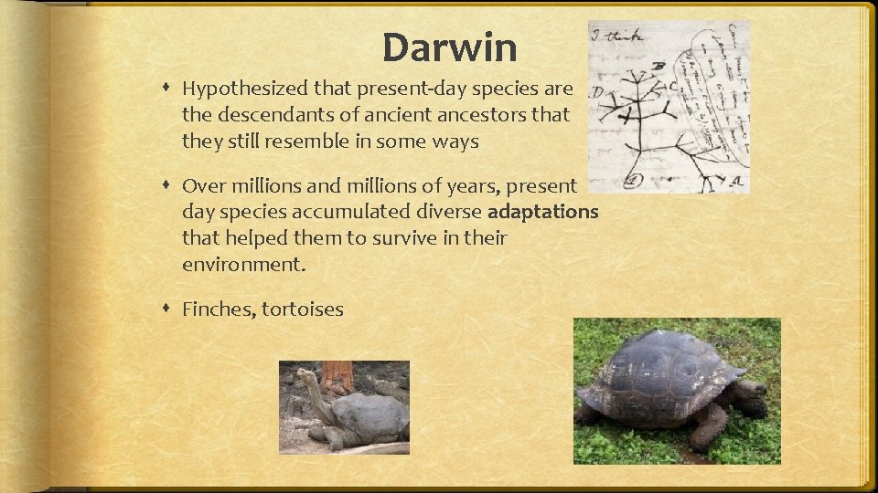 Darwin Hypothesized that present-day species are the descendants of ancient ancestors that they still