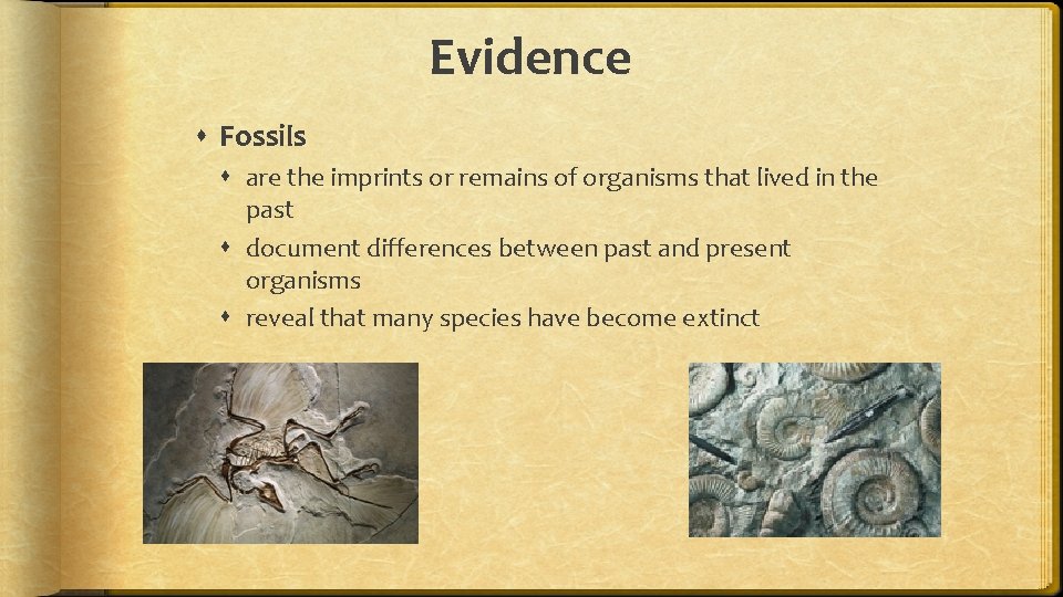 Evidence Fossils are the imprints or remains of organisms that lived in the past
