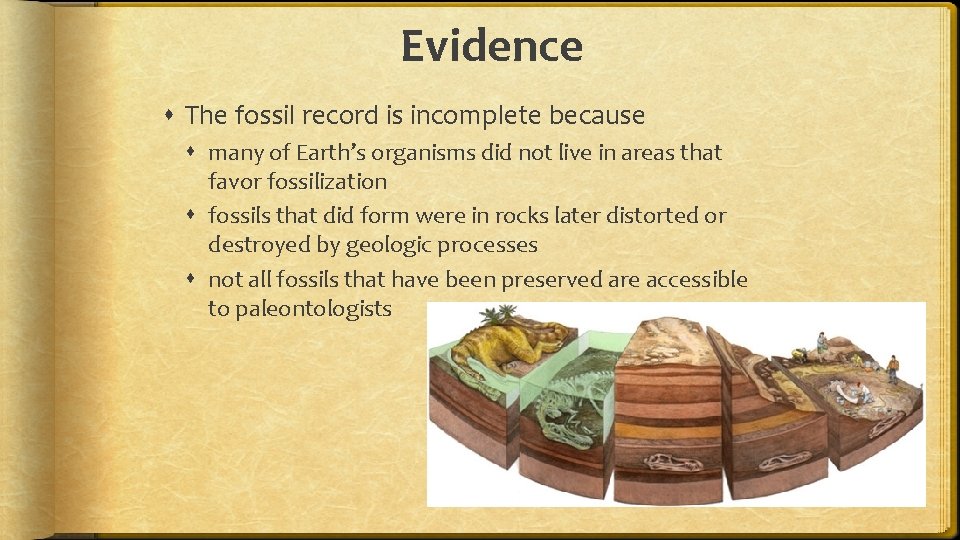 Evidence The fossil record is incomplete because many of Earth’s organisms did not live