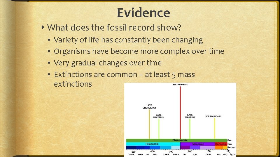 Evidence What does the fossil record show? Variety of life has constantly been changing