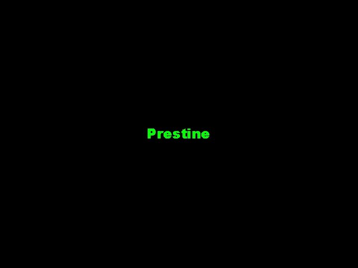 Prestine 