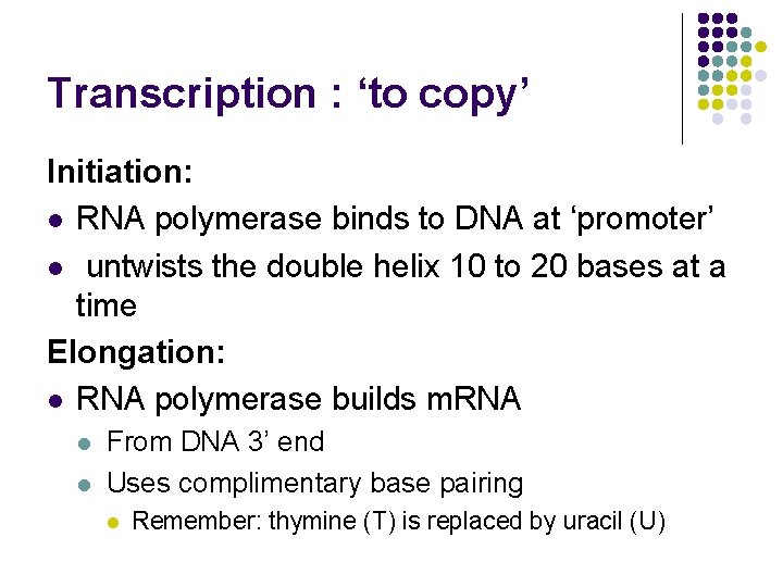 Transcription : ‘to copy’ Initiation: l RNA polymerase binds to DNA at ‘promoter’ l
