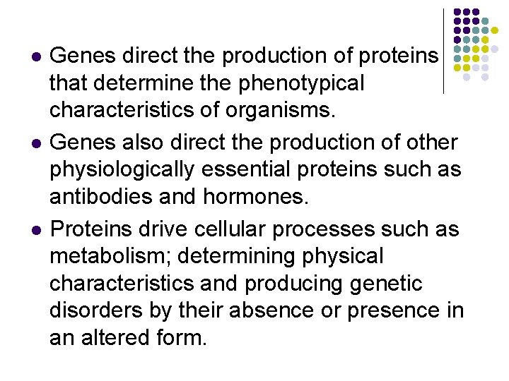 l l l Genes direct the production of proteins that determine the phenotypical characteristics