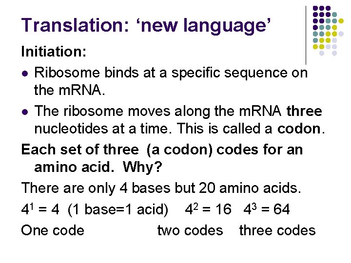 Translation: ‘new language’ Initiation: l Ribosome binds at a specific sequence on the m.