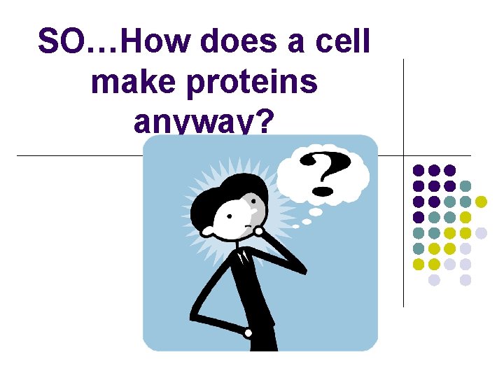 SO…How does a cell make proteins anyway? 