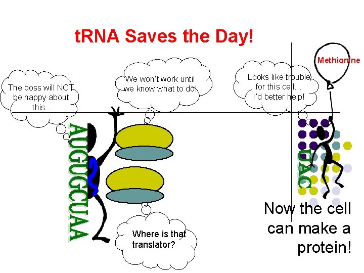 t. RNA Saves the Day! Methionine The boss will NOT be happy about this.