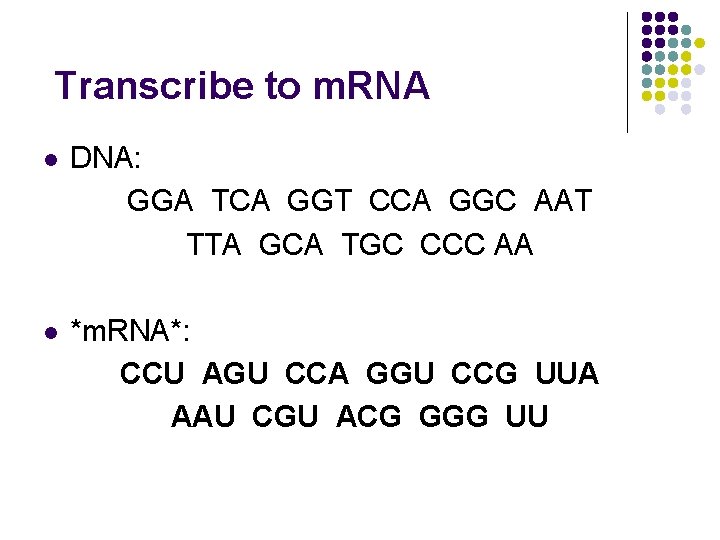 Transcribe to m. RNA l DNA: GGA TCA GGT CCA GGC AAT TTA GCA