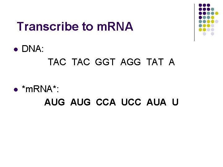Transcribe to m. RNA l DNA: TAC GGT AGG TAT A l *m. RNA*: