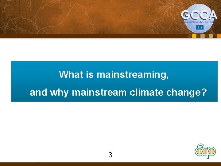 What is mainstreaming, and why mainstream climate change? 3 