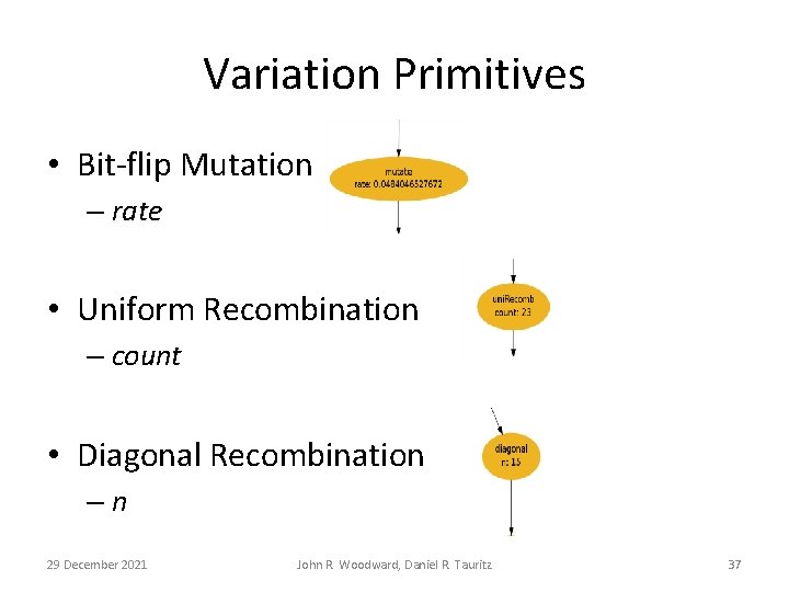 Variation Primitives • Bit-flip Mutation – rate • Uniform Recombination – count • Diagonal