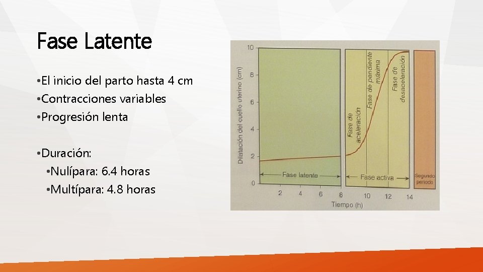 Fase Latente • El inicio del parto hasta 4 cm • Contracciones variables •