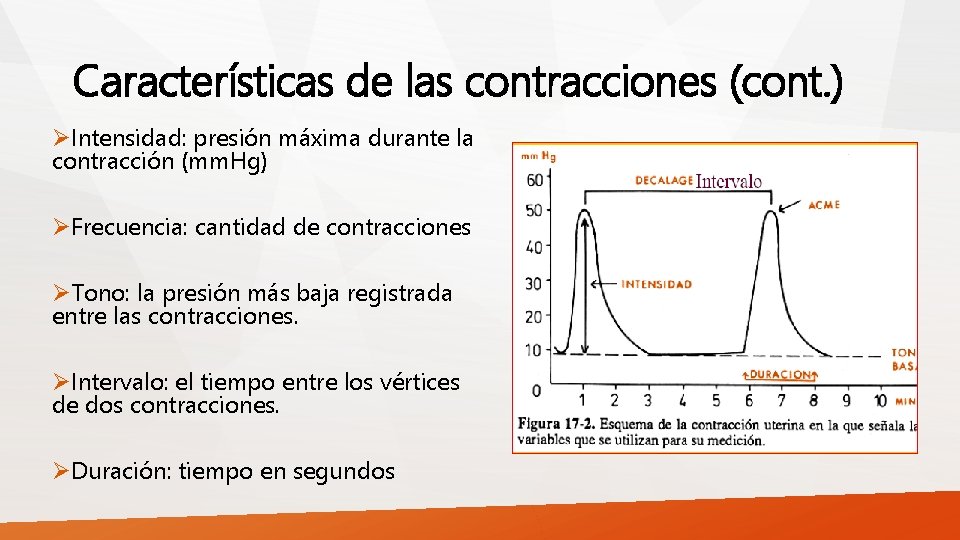 Características de las contracciones (cont. ) ØIntensidad: presión máxima durante la contracción (mm. Hg)