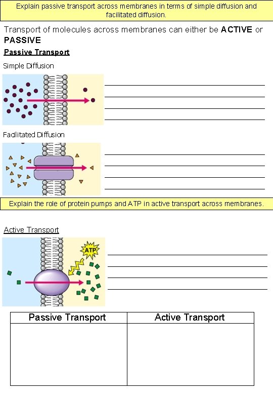 1 4 Membrane Transport Assessment statement U 1