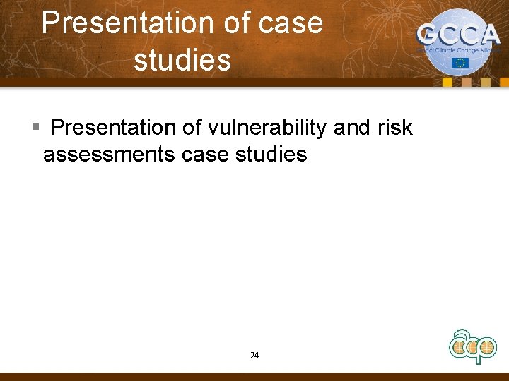 Presentation of case studies § Presentation of vulnerability and risk assessments case studies 24