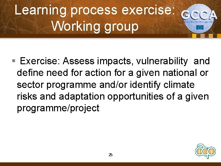 Learning process exercise: Working group § Exercise: Assess impacts, vulnerability and define need for