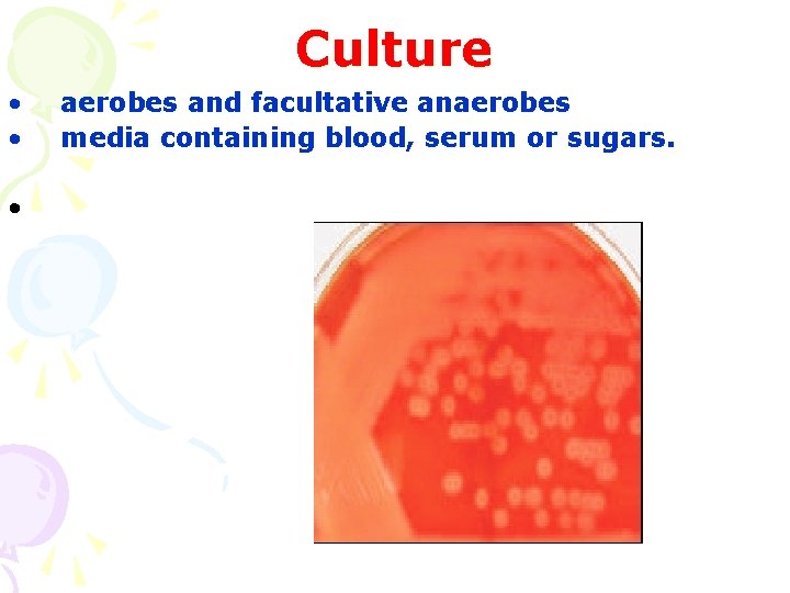 Culture • • • aerobes and facultative anaerobes media containing blood, serum or sugars.