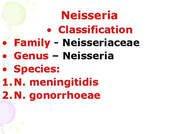 Neisseria • Classification • Family - Neisseriaceae • Genus – Neisseria • Species: 1.