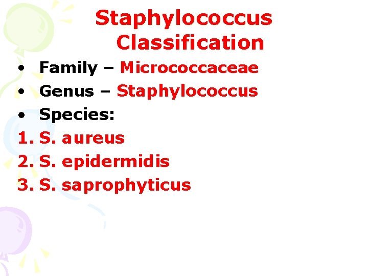 Staphylococcus Classification • Family – Micrococcaceae • Genus – Staphylococcus • Species: 1. S.