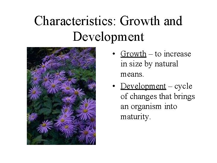 Characteristics: Growth and Development • Growth – to increase in size by natural means.