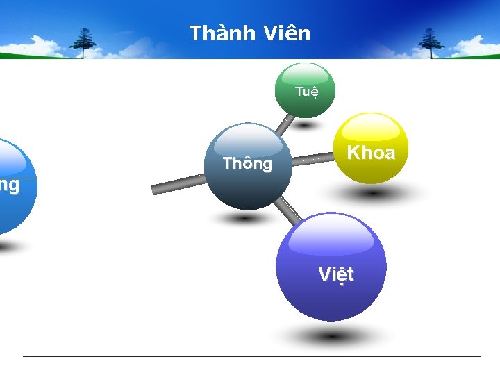 ng Thành Viên Tuệ Thông Khoa Việt 