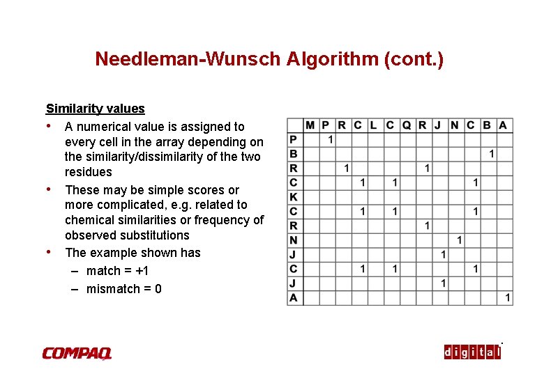 Needleman-Wunsch Algorithm (cont. ) Similarity values • A numerical value is assigned to every