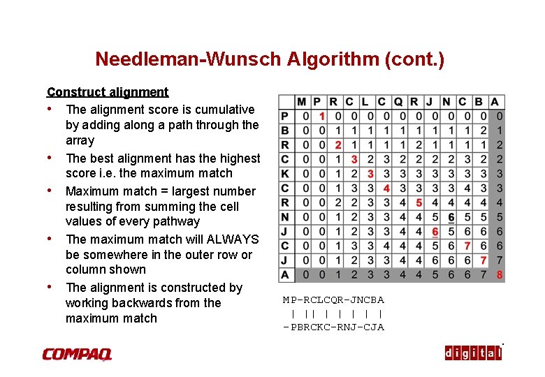 Needleman-Wunsch Algorithm (cont. ) Construct alignment • The alignment score is cumulative by adding