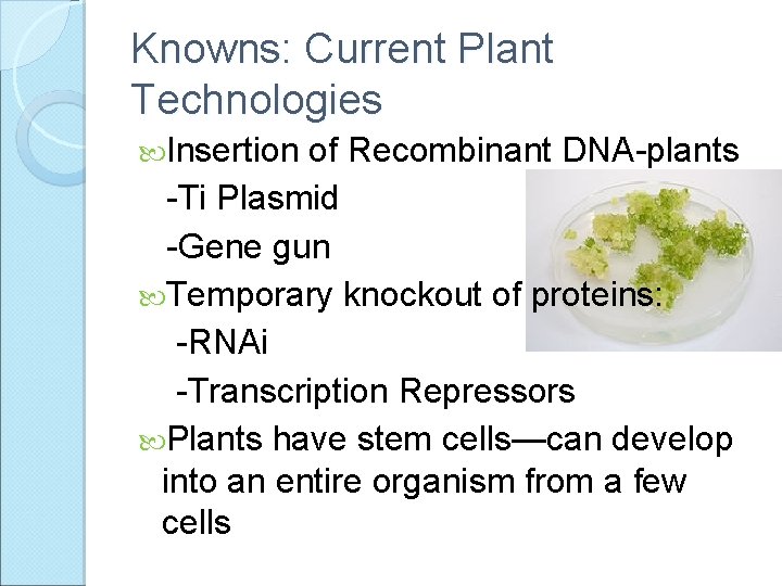 Knowns: Current Plant Technologies Insertion of Recombinant DNA-plants -Ti Plasmid -Gene gun Temporary knockout