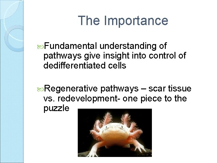 The Importance Fundamental understanding of pathways give insight into control of dedifferentiated cells Regenerative