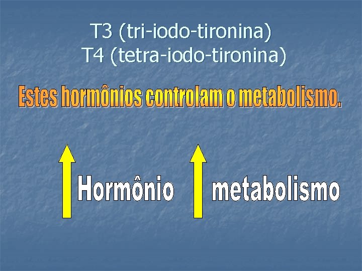 T 3 (tri-iodo-tironina) T 4 (tetra-iodo-tironina) 