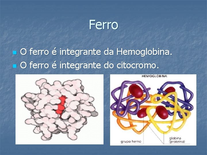 Ferro n n O ferro é integrante da Hemoglobina. O ferro é integrante do