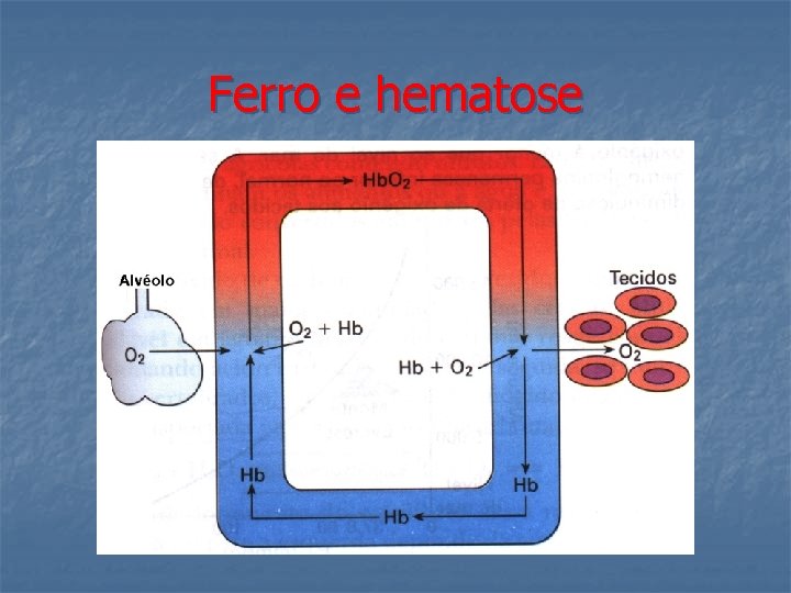 Ferro e hematose 