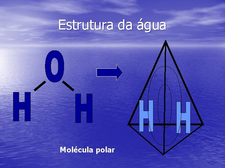 Estrutura da água Molécula polar 