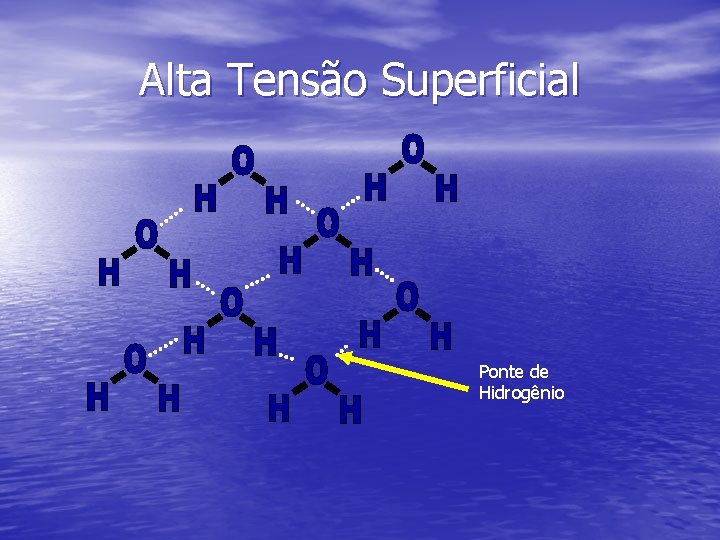 Alta Tensão Superficial Ponte de Hidrogênio 