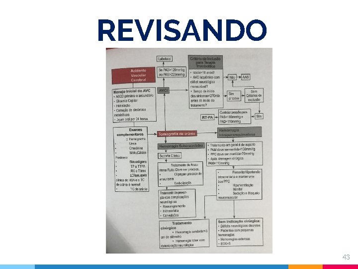 REVISANDO 43 