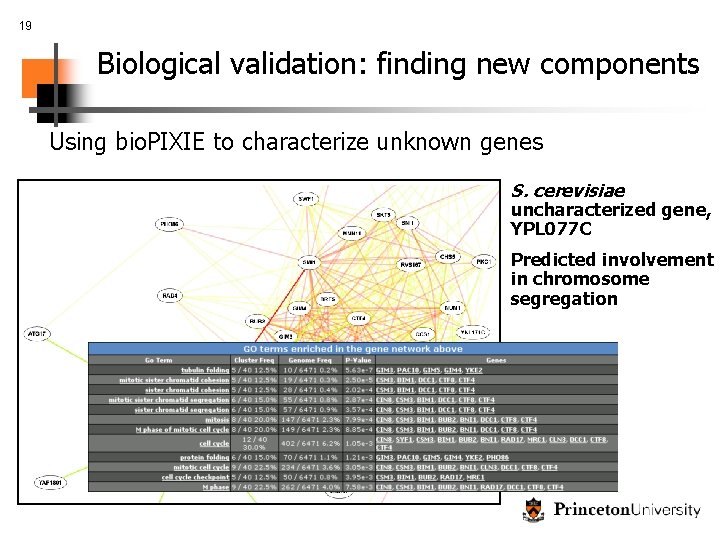 19 Biological validation: finding new components Using bio. PIXIE to characterize unknown genes S.