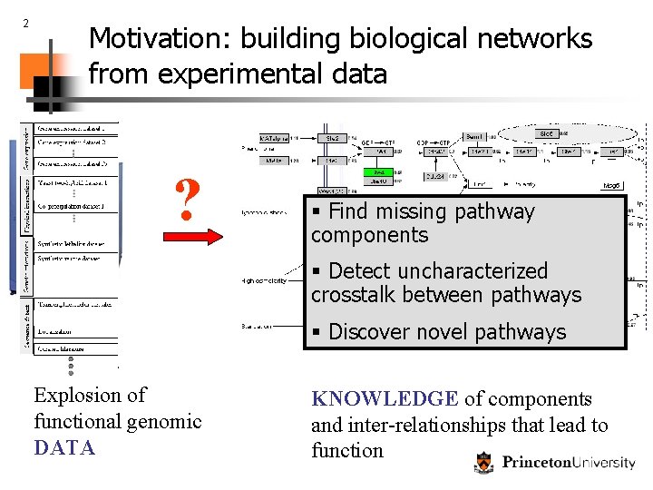 2 Motivation: building biological networks from experimental data ? § Find missing pathway components