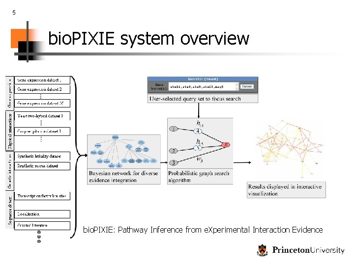 5 bio. PIXIE system overview bio. PIXIE: Pathway Inference from e. Xperimental Interaction Evidence