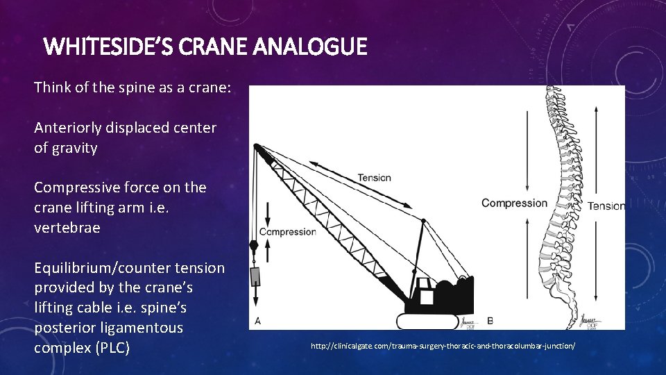 WHITESIDE’S CRANE ANALOGUE Think of the spine as a crane: Anteriorly displaced center of