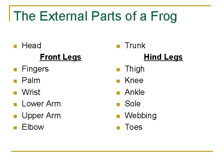 The External Parts of a Frog n n n n Head Front Legs Fingers