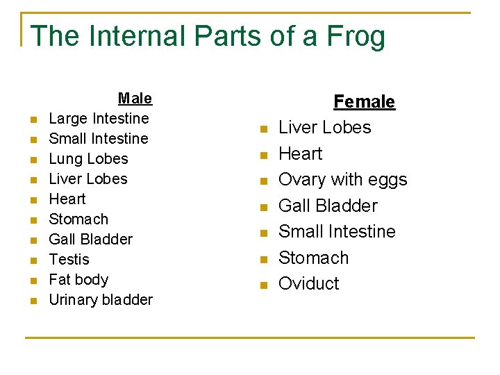 The Internal Parts of a Frog n n n n n Male Large Intestine