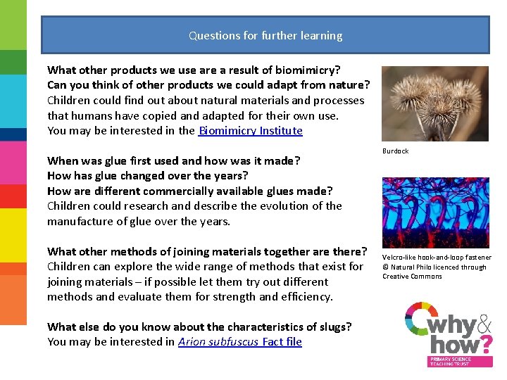 Questions for further learning What other products we use are a result of biomimicry?