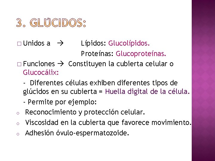 � Unidos a Lípidos: Glucolípidos. Proteínas: Glucoproteínas. � Funciones Constituyen la cubierta celular o