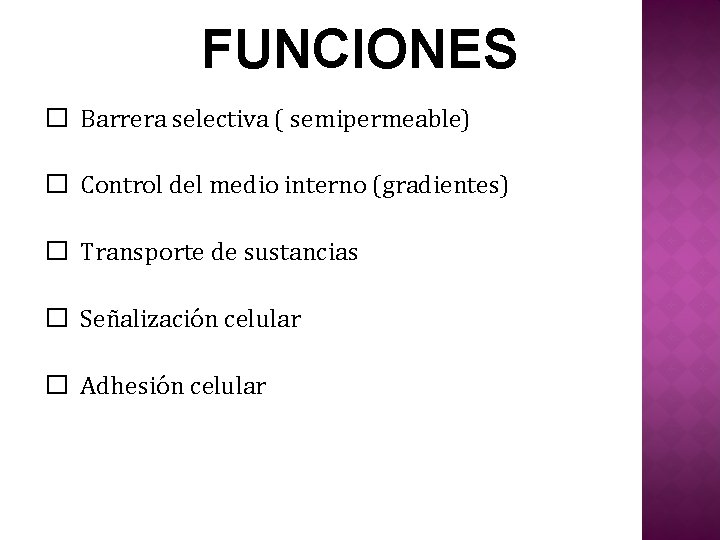 FUNCIONES � Barrera selectiva ( semipermeable) � Control del medio interno (gradientes) � Transporte