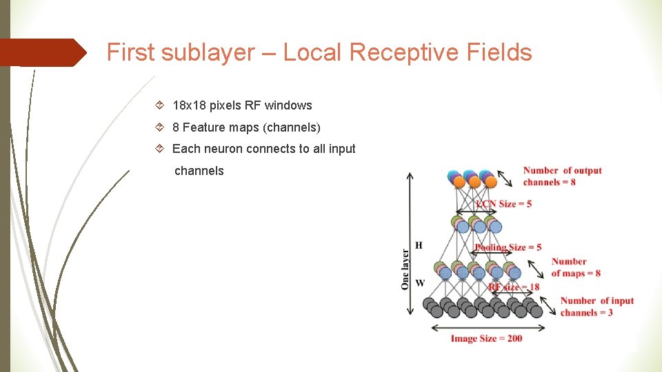 First sublayer – Local Receptive Fields 18 x 18 pixels RF windows 8 Feature