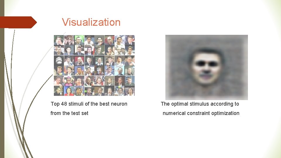 Visualization Top 48 stimuli of the best neuron from the test set The optimal